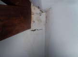 Plafond rongé par la moisissure