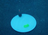 Test de fuite  dans piscine